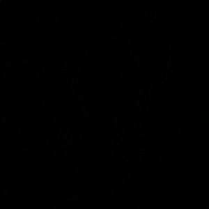 Meet your Posher, Shoda